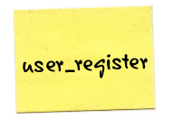 The Form ID of the register form.